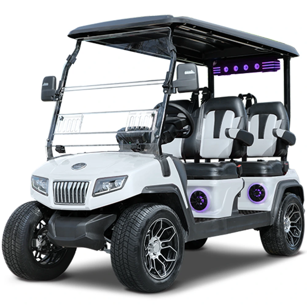 Denago vs Evolution golf cart