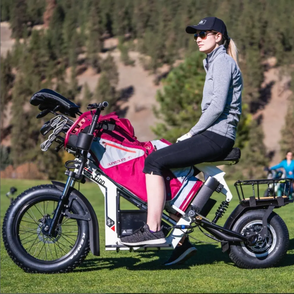 Electric Golf Scooter
